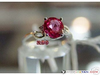 2005013115544310.jpg