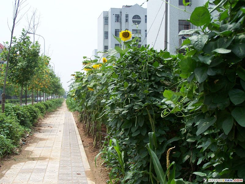 2005073001053791.jpg