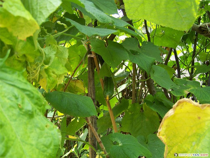 2005073001092877.jpg