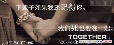 2005080113570287.jpg