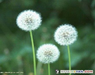 2005080400393555.jpg