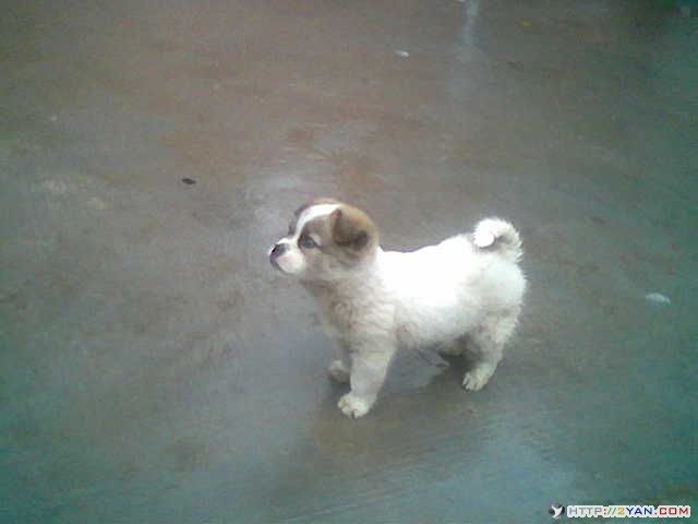 2005100320235277.jpg