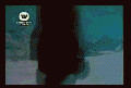 2005112816250549.gif