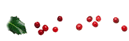 2005122419363960.gif
