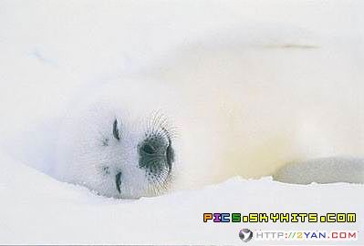 2005122618150182.jpg